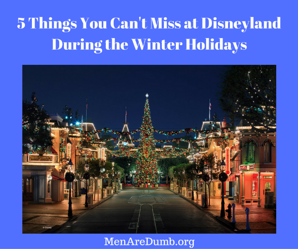 Disneyland during the Winter holidays