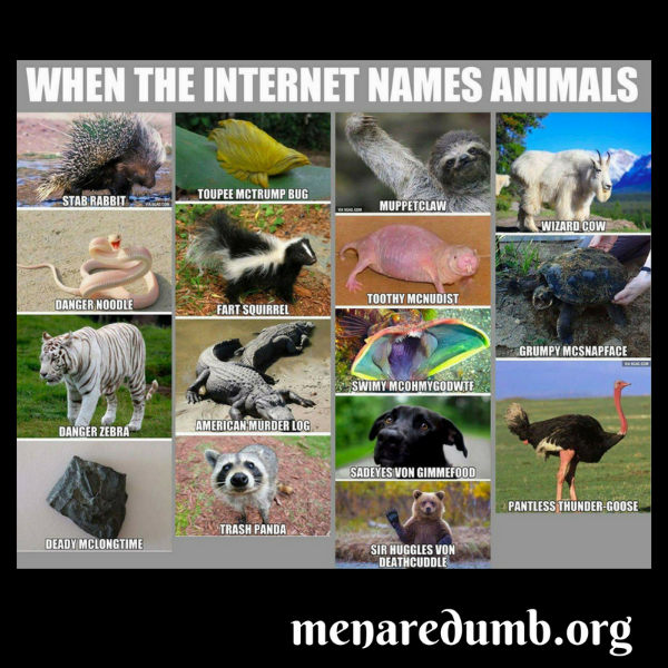 Funny meme about renaming animals